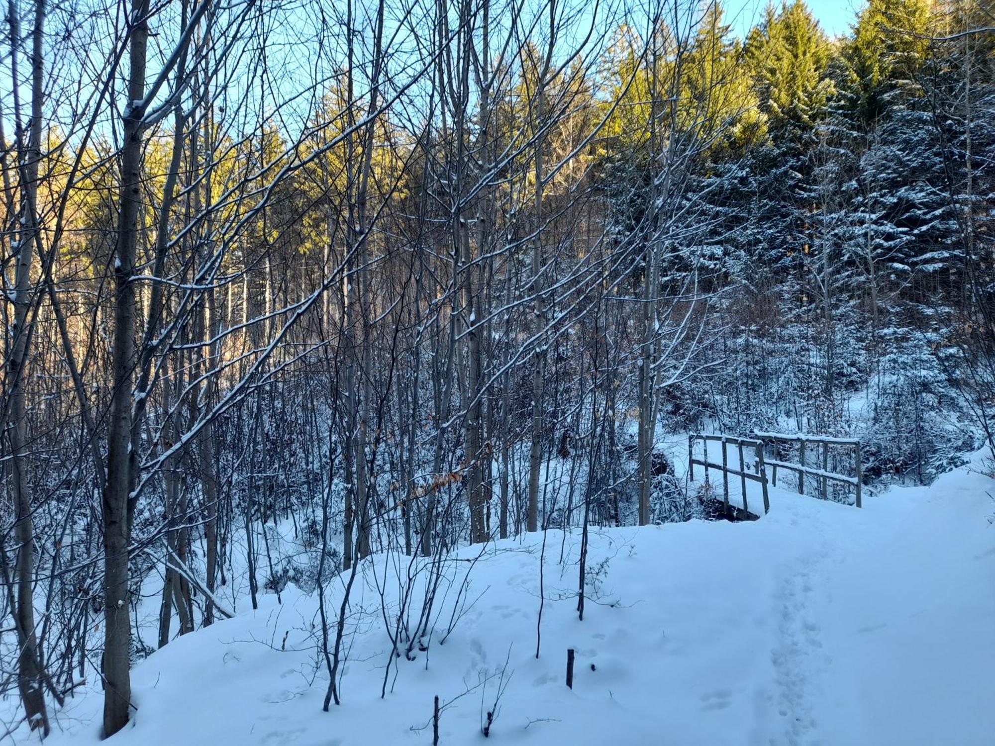 Ubytovani Na Namesti Nove Mesto pod Smrkem Dış mekan fotoğraf